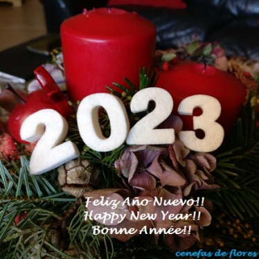 feliz 2023 logo